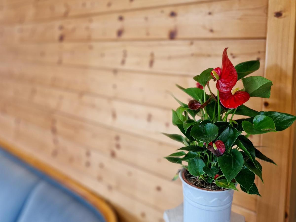 Ferien Vom Ich, Bayerischer Wald, Hotel & Restaurant Neukirchen  Eksteriør bilde