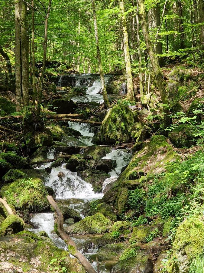 Ferien Vom Ich, Bayerischer Wald, Hotel & Restaurant Neukirchen  Eksteriør bilde