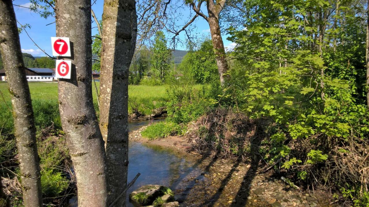 Ferien Vom Ich, Bayerischer Wald, Hotel & Restaurant Neukirchen  Eksteriør bilde