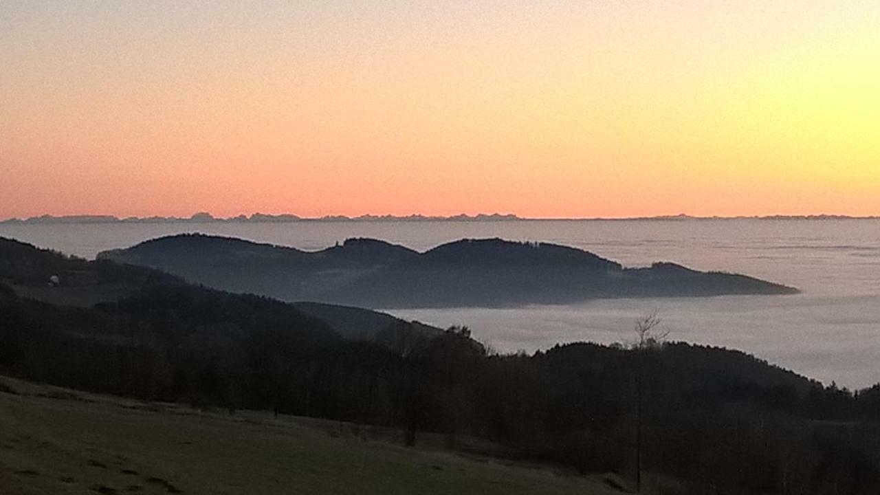 Ferien Vom Ich, Bayerischer Wald, Hotel & Restaurant Neukirchen  Eksteriør bilde