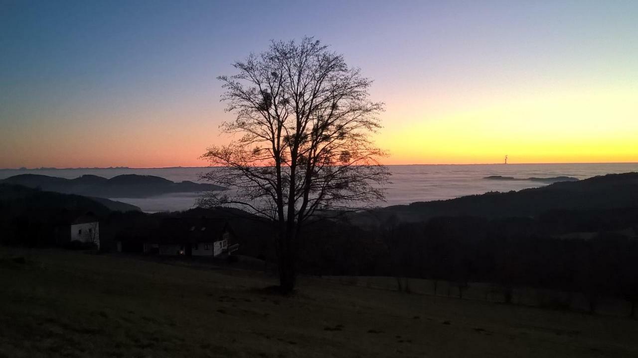 Ferien Vom Ich, Bayerischer Wald, Hotel & Restaurant Neukirchen  Eksteriør bilde