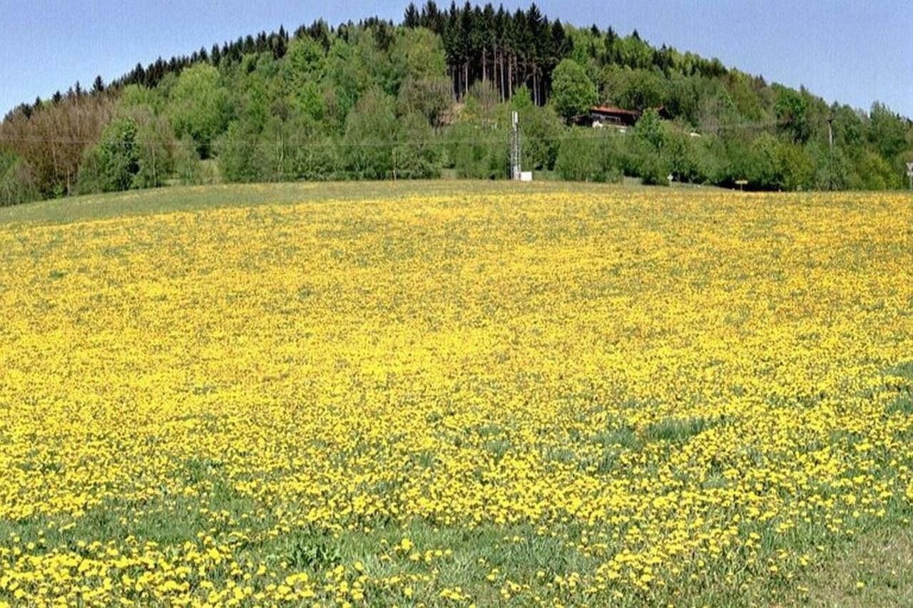 Ferien Vom Ich, Bayerischer Wald, Hotel & Restaurant Neukirchen  Eksteriør bilde