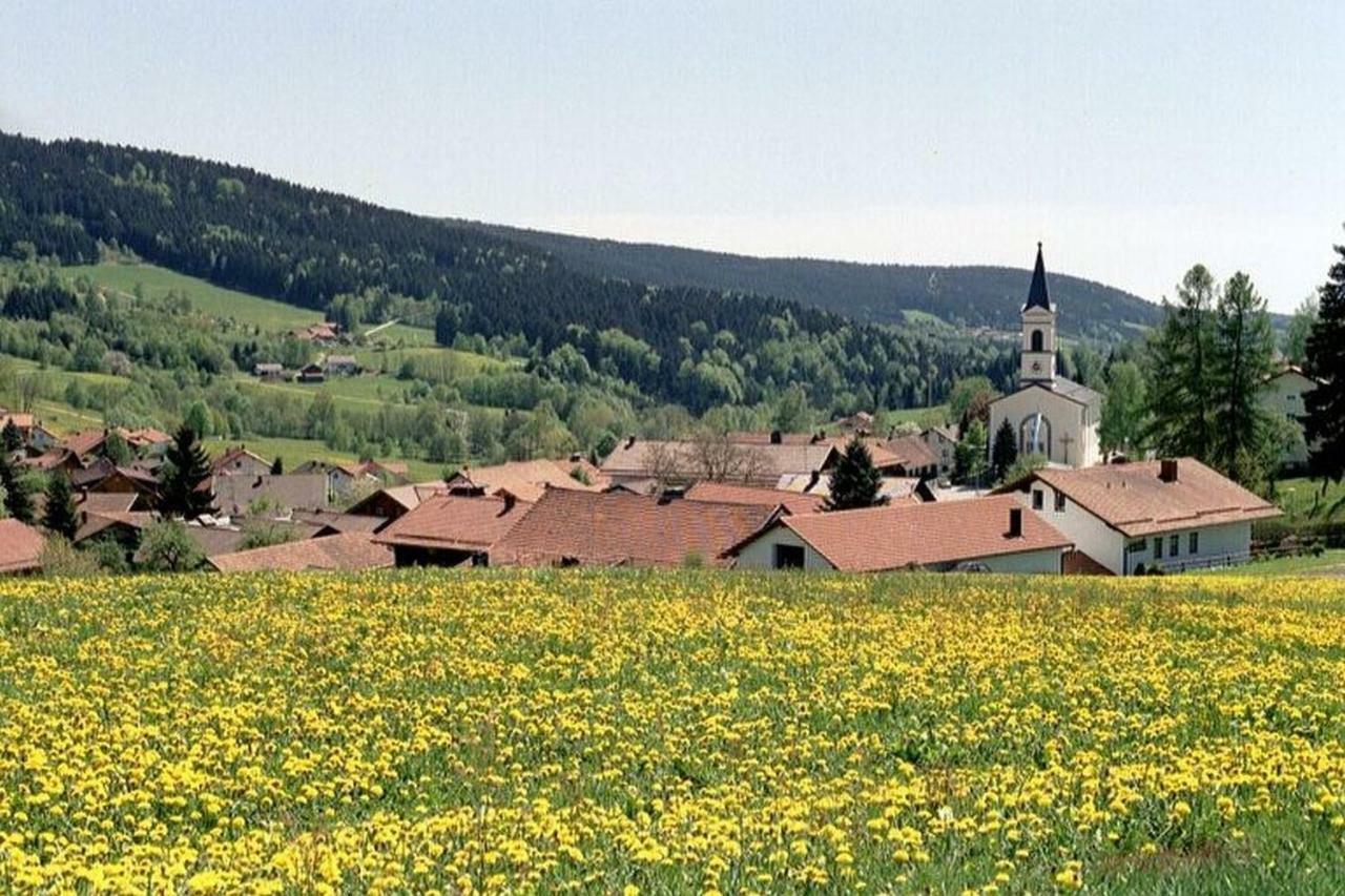 Ferien Vom Ich, Bayerischer Wald, Hotel & Restaurant Neukirchen  Eksteriør bilde