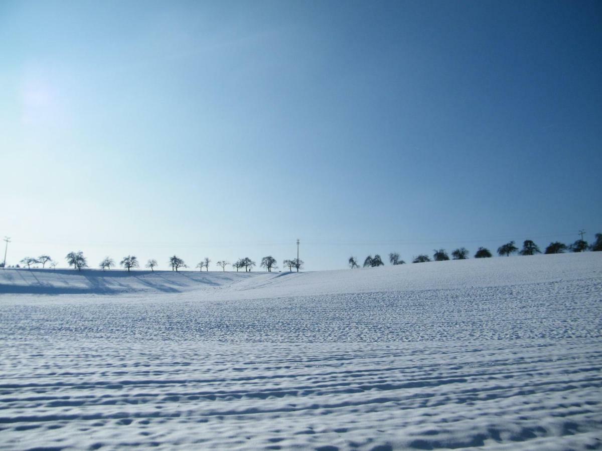 Ferien Vom Ich, Bayerischer Wald, Hotel & Restaurant Neukirchen  Eksteriør bilde