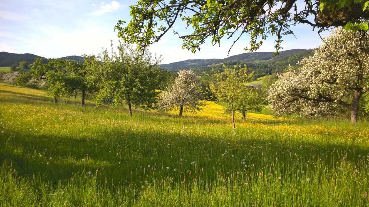 Ferien Vom Ich, Bayerischer Wald, Hotel & Restaurant Neukirchen  Eksteriør bilde