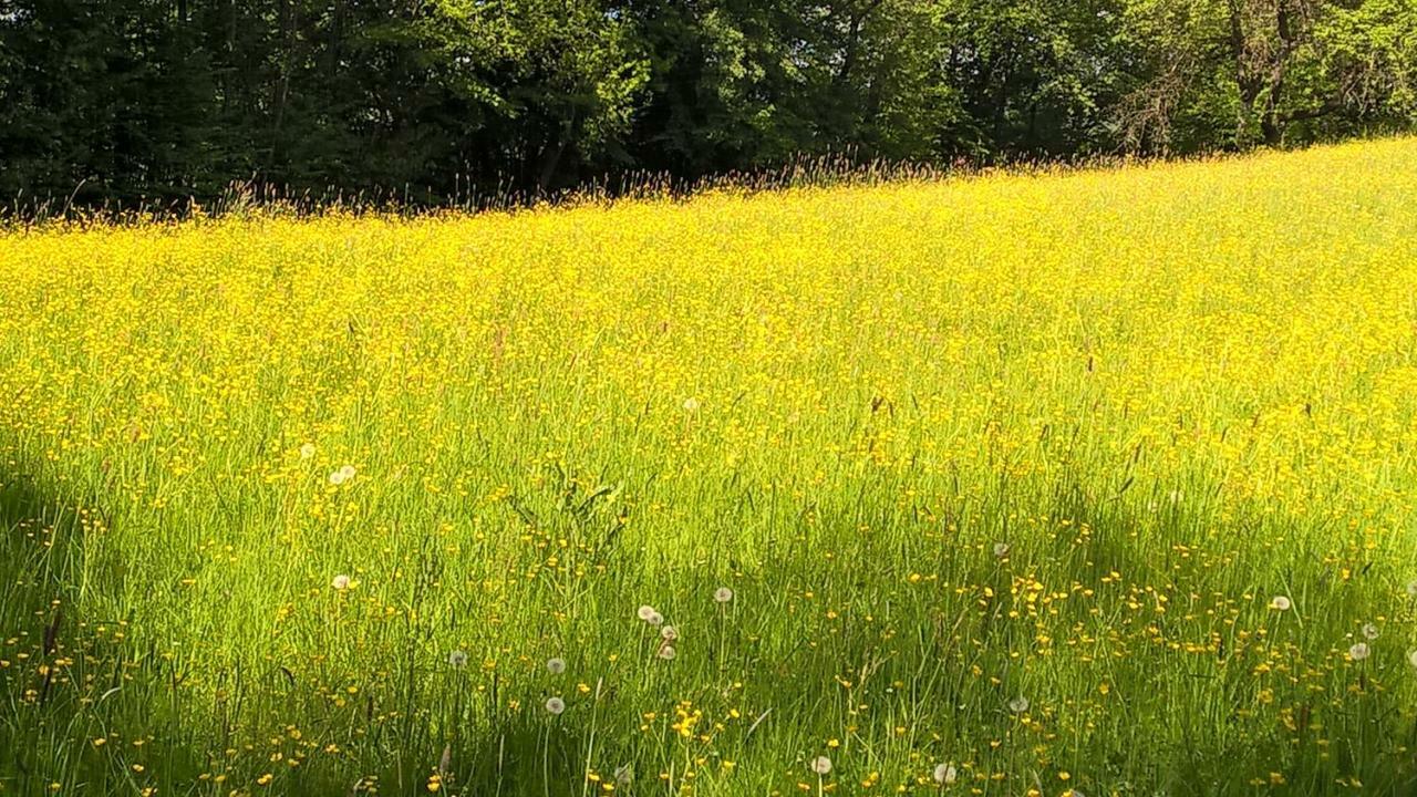 Ferien Vom Ich, Bayerischer Wald, Hotel & Restaurant Neukirchen  Eksteriør bilde