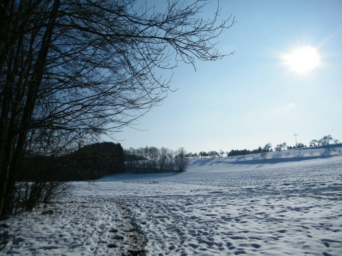 Ferien Vom Ich, Bayerischer Wald, Hotel & Restaurant Neukirchen  Eksteriør bilde