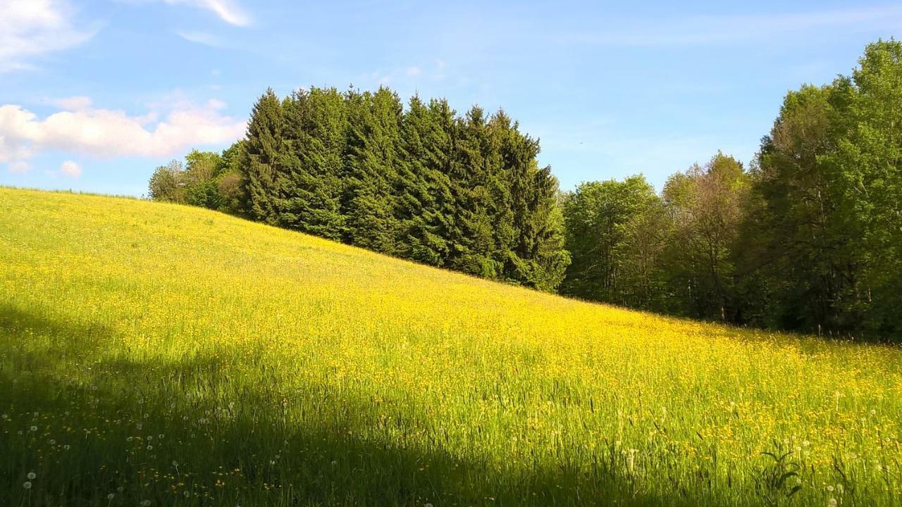 Ferien Vom Ich, Bayerischer Wald, Hotel & Restaurant Neukirchen  Eksteriør bilde