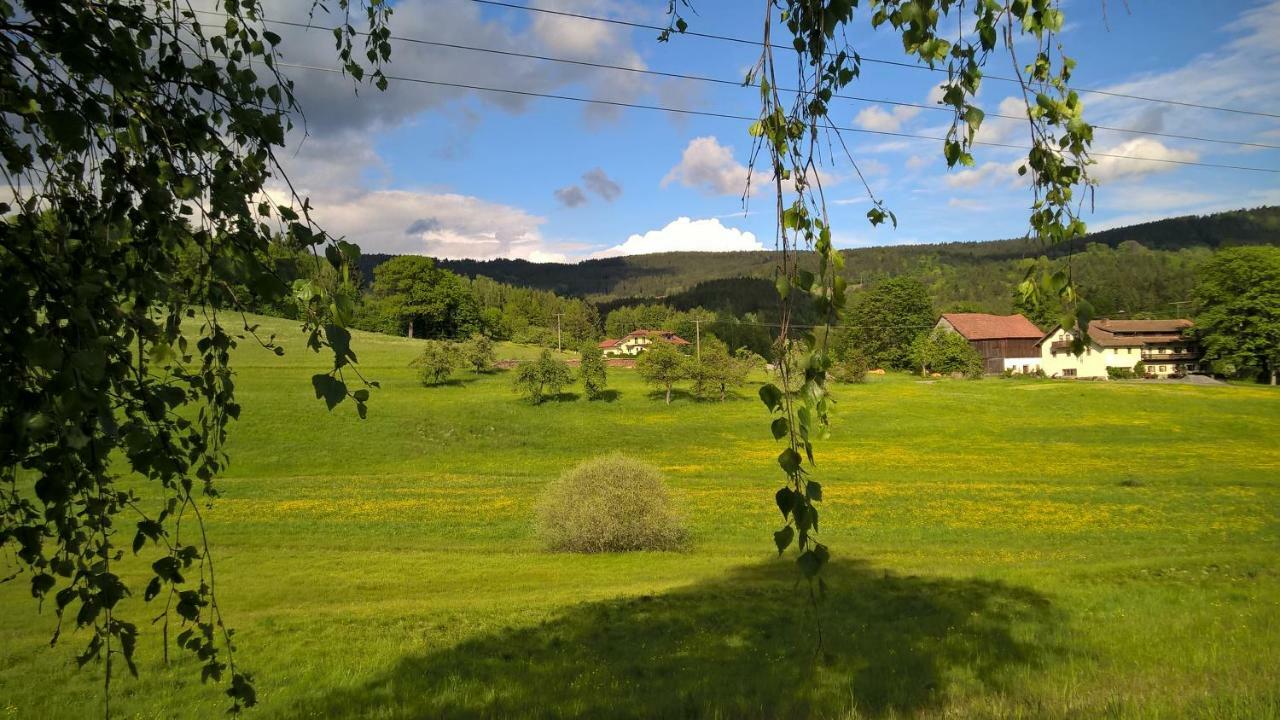 Ferien Vom Ich, Bayerischer Wald, Hotel & Restaurant Neukirchen  Eksteriør bilde