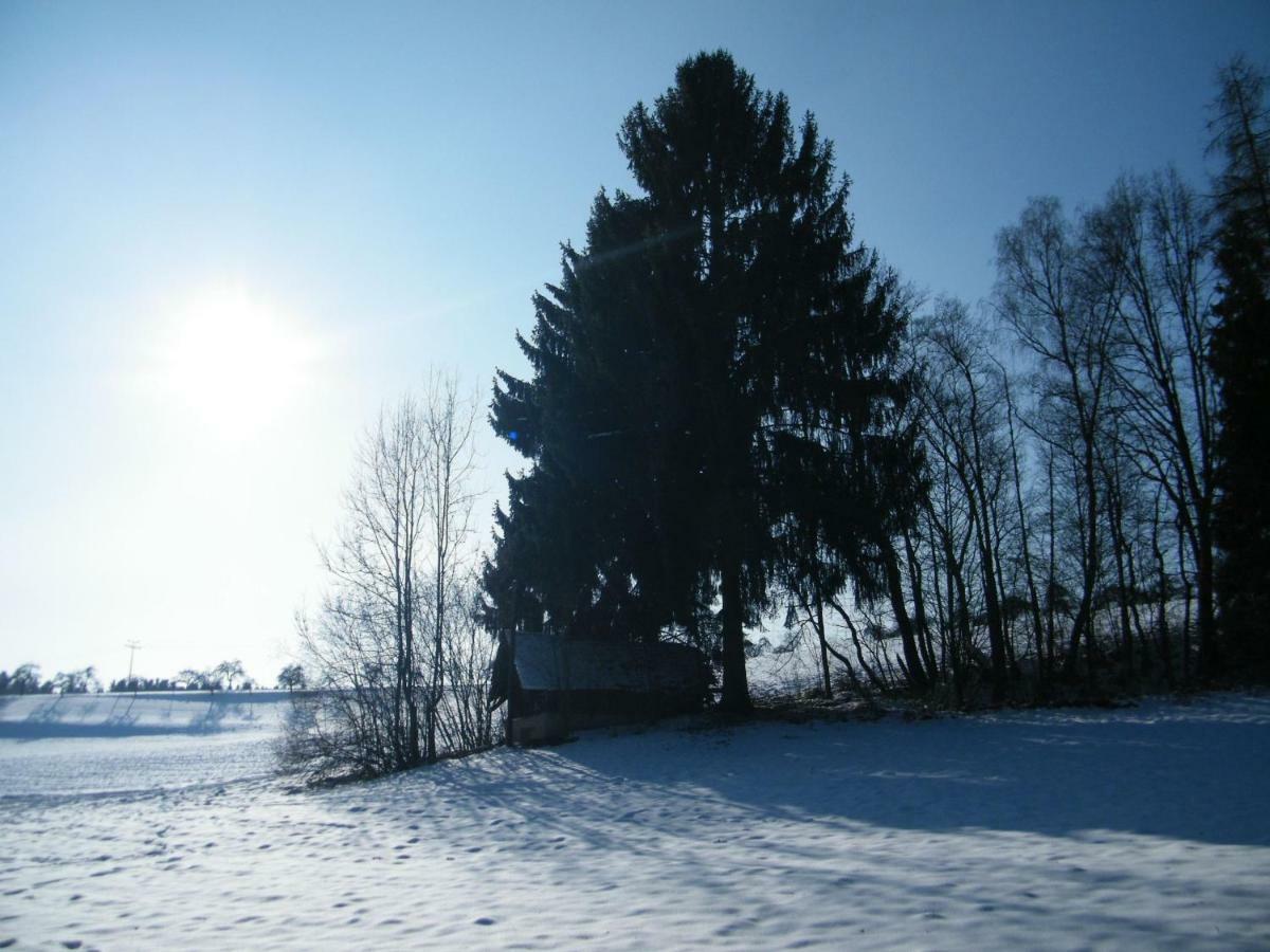 Ferien Vom Ich, Bayerischer Wald, Hotel & Restaurant Neukirchen  Eksteriør bilde